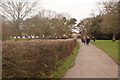 Path in Nonsuch Park