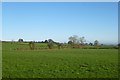 Farmland off Sawley Moor Lane