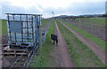 Footpath and track through the horse paddocks