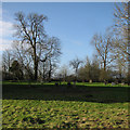 TL3635 : In Reed churchyard by John Sutton