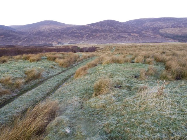 Track coming up from Strathcarron