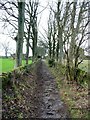 The paved path to Balcony and Penistone Hill