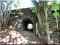 Footpath under the railway