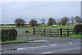 Grazing for horses near Penkridge