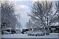 Snow in Oxford Close Washingborough