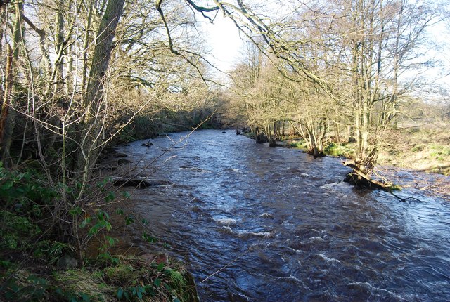 River Nidd © Matthew Chadwick :: Geograph Britain and Ireland