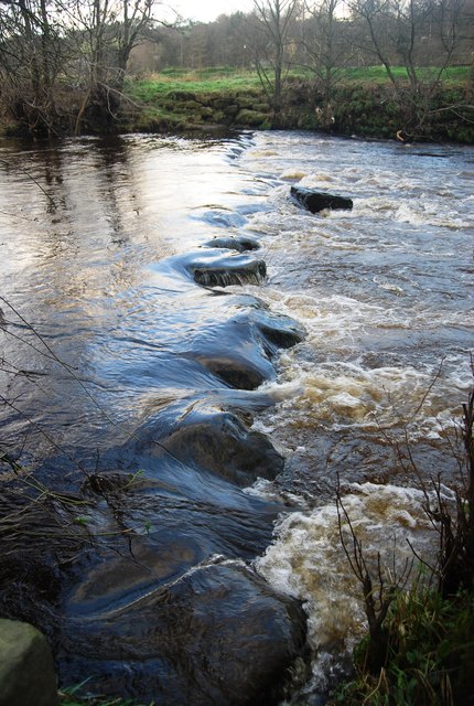 Stepping Stones at High Flow