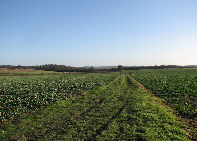 East of the Icknield Way Trail © John Sutton :: Geograph Britain and ...