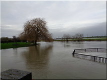 SO8832 : High water, River Avon, Tewkesbury by Jeff Gogarty
