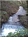 Stream, Budshead Wood