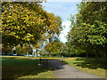 Path, Woodcock Park