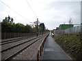 Tramway north of Ruddington Lane