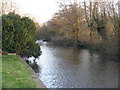 The River Nadder, looking east