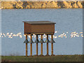SP9314 : The Sand Martin Nesting Box at College Lake by Chris Reynolds