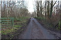 Road to Eglinton Park Farm