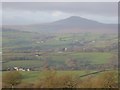 View of Sugar Loaf