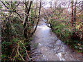 White water on Malpas Brook, Bettws, Newport