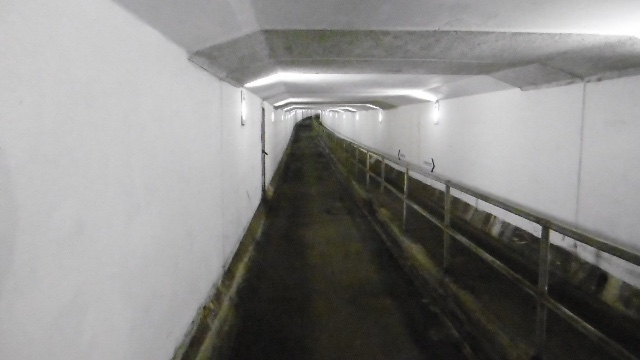Clyde Tunnel
