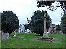 TQ2122 : St Peter's Church, Cowfold: churchyard (2) by Basher Eyre
