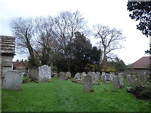 TQ2122 : St Peter's Church, Cowfold: churchyard (9) by Basher Eyre