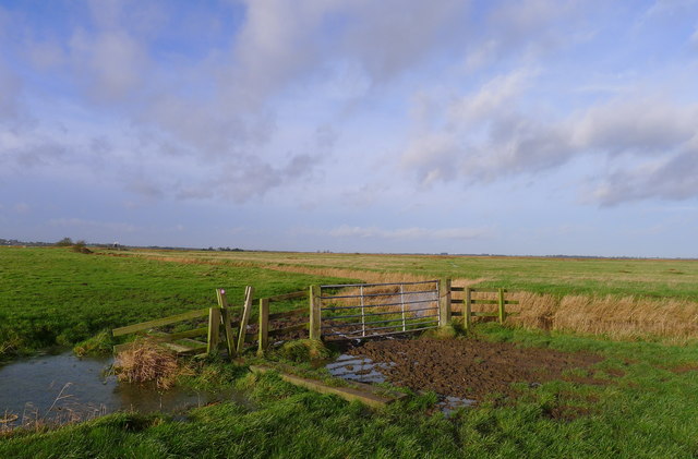 The Weaver's Way across Wickhampton Marshes