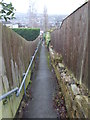 Footpath - Lower Hall Road