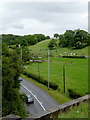 Pasture by Cheadle Road south of Leek, Staffordshire