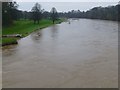 River Tweed viewed downstream from Coldstream Bridge