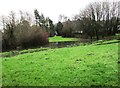 Flooding on field by River Severn, Bewdley, Worcs