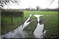 Waterlogged Field at Thorncombe