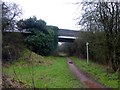 Bridge over the Southwell Trail