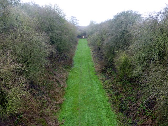Cutting in dismantled colliery railway