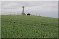 NT8837 : Monument on Flodden Field by Philip Halling