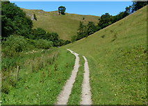 SK1455 : Path heading north through Mill Dale by Mat Fascione