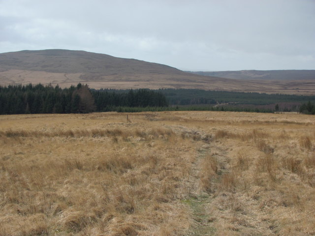 View west from Cefn Ynys-fawr