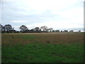 Farmland, Carnaby Moor