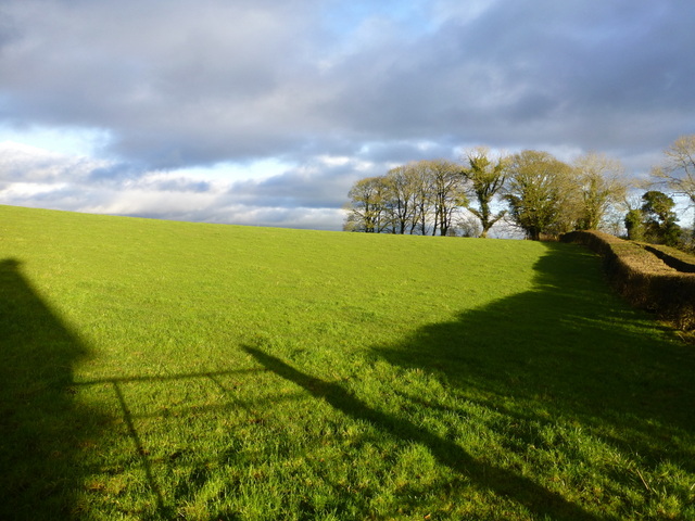 A sunny hill, Beagh