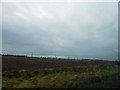 Lincolnshire farmland and a distant powerline