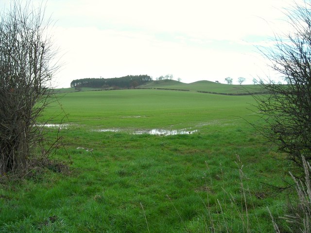 Field next to Robin Hood Hill