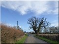 Marsh Road, west of the junction for Birtsmorton church