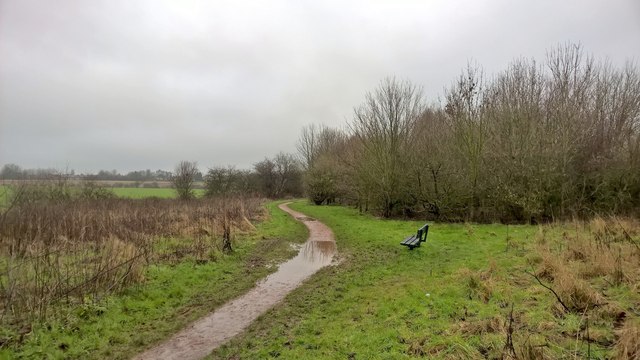 On the Southwell Trail