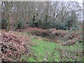 Small pond by the car park