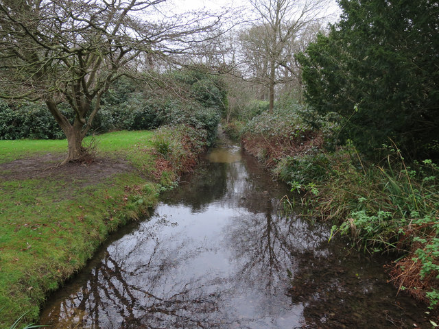 Channel in Waterhouse Woodland Garden