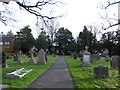 St John the Evangelist, Copthorne: churchyard (ix)