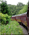 Railway train approaching Leekbrook Junction, Staffordshire