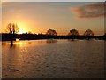 SO8454 : Sunrise over floodwaters by Philip Halling