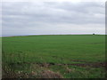 Coastal farmland off Sands Lane, Barmston