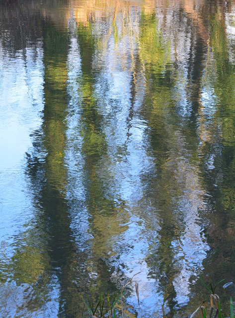 River Kennet: Reflections near Woolhampton, Berkshire