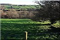 Towards the Cod Beck valley