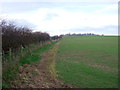 Hedgerow and fields, Stone Hills